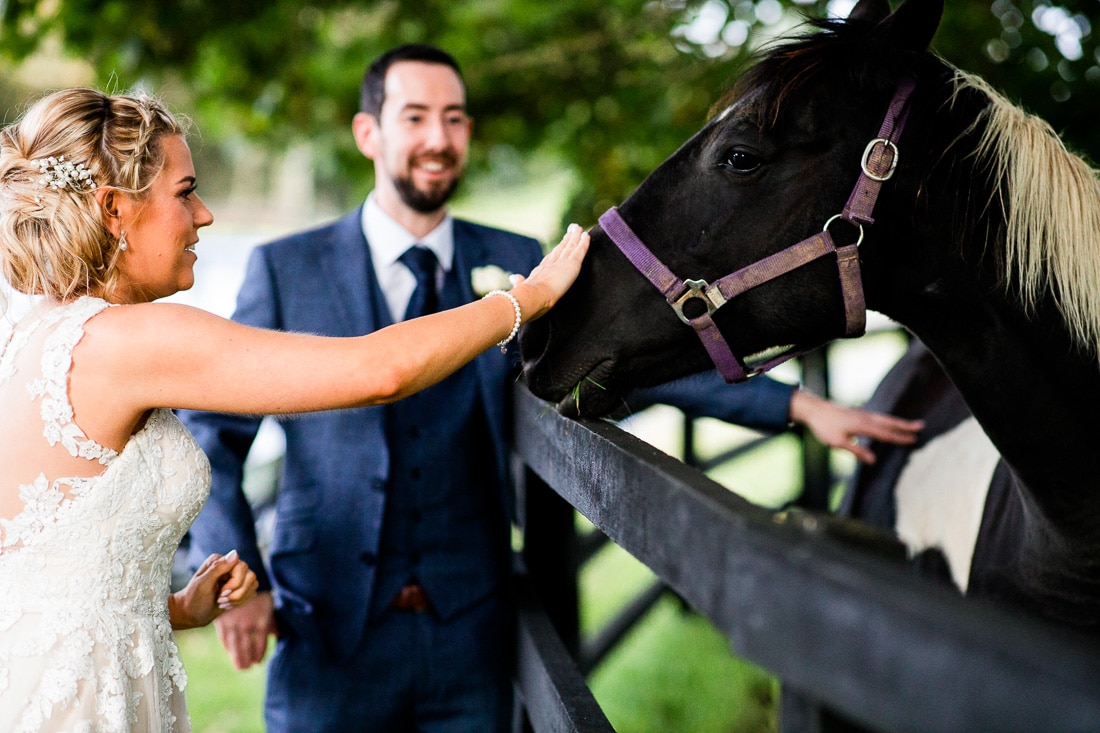 bride and groom rub a horse in the garden at Poulaphouca House